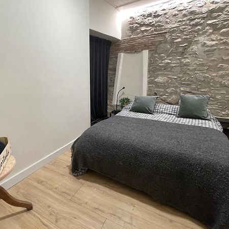 Apartamento Colgante Al Rio Con Vistas Al Puente Camprodon Exterior foto