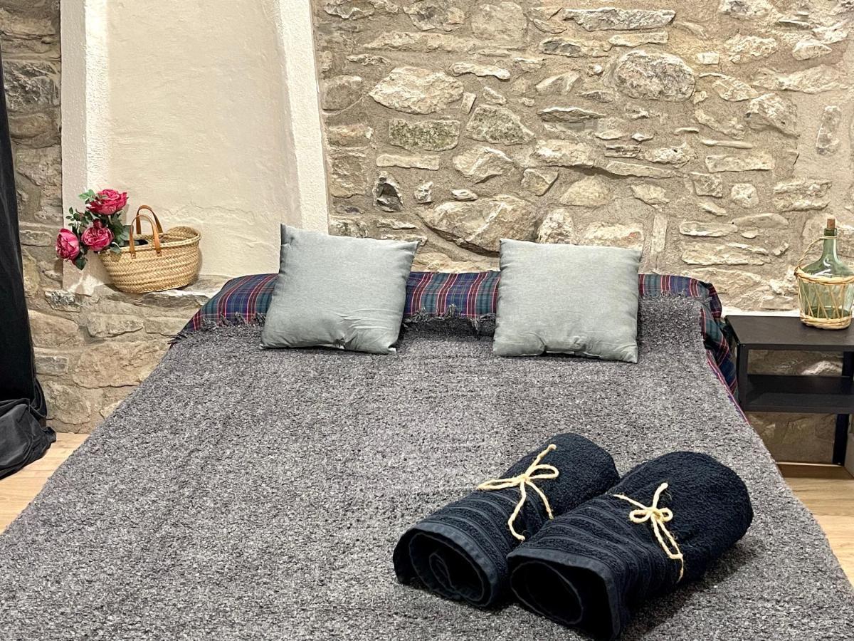 Apartamento Colgante Al Rio Con Vistas Al Puente Camprodon Exterior foto